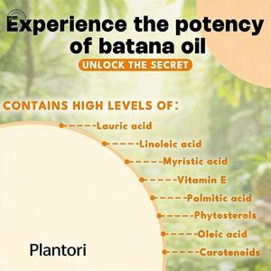 Aceites Esenciales Naturales de Menta y Eucalipto en Barra Roll-on Refrescante <span class=keywords><strong>para</strong></span> el Dolor de Cabeza, Aceite Portador Orgánico Perfecto al por Mayor - Product Image 3