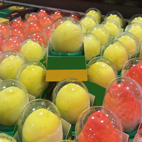Vente en gros OEM : Crème glacée virale 3D en forme de litchi, dessert glacé crémeux au goût de fruit enrobé de chocolat, certifié Halal