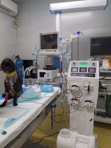 पशु चिकित्सा उपकरण हेमोडायलिसिस मशीन/डायलिसिस मशीन गुर्दे हेमोडायलिसिस रक्त विश्लेषणात्मक उपकरण - Product Image 4