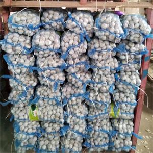 <strong>Fresh</strong> <strong>Garlic</strong> Chinese New Crop Ail Supply As <strong>Garlic</strong> and Pure White Alho Ajo From Wholesale <strong>Garlic</strong> Manufacturer - Product Image 6