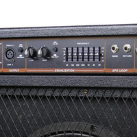 Amplificateur de basse professionnel BS500U 250W avec haut-parleur de 18 pouces et égaliseur 1 bande pour concerts en direct