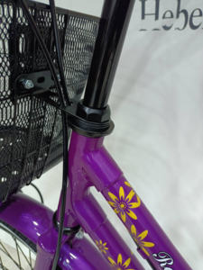 Vélo de ville pour adultes de haute qualité, style classique, 20 pouces, frein à disque, vitesse unique, vente en gros d'usine - Product Image 5