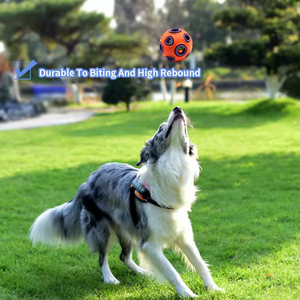 Jouet d'entraînement pour chien écologique en gros, jouet interactif en caoutchouc couineur pour animaux de compagnie, indestructible et résistant aux morsures - Product Image 1