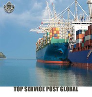 Transporteur maritime favorable de la Chine vers l'Irak DDP pour les conteneurs et la livraison de FCL/LCL