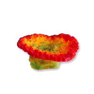 Good Price Resin Artificial <strong>Corals</strong> with Quality Warranty - Product Image 5