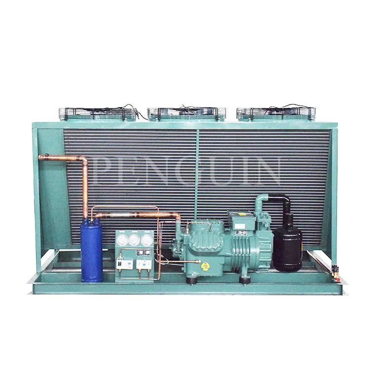 50HP Cold Room BlTZER 6F-50.2(Y) 6F-50.2 Air Cooled Box Type Refrigeration Compressor Condensing Unit For Freezing
