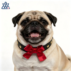 Collier pour animaux de compagnie réglable avec nœud pour petits chiens, couleur unie élégante, noir, rouge, blanc, or, origine Zhejiang - Product Image 1