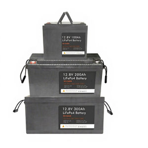Customized PMI Brand 12V LiFePO4 Lithium Ion Battery Pack 100Ah/200Ah/300Ah Solar <b>Energy</b> <b>Storage</b> <b>System</b> 5 Year Warranty 6000 - Product Image 1