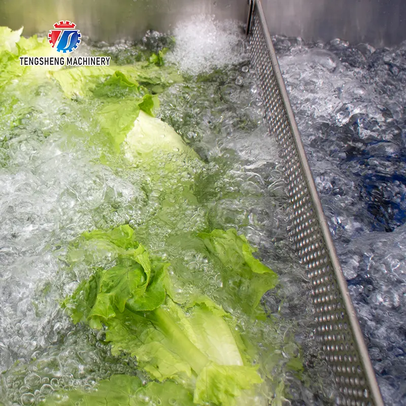 Automatic vegetable washing machine commercial vegetable and fruit washing machine large vegetable washing machine