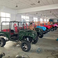 Caiteng Chinese Jeep ATV UTV 4x4 Électrique/essence 200cc/300cc Mini Véhicule tout-terrain pour adultes Buggy Transmission automatique 2 ans