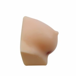 超音波乳房腫瘍穿刺モデル超音波ガイド乳房腫瘍穿刺トレーニングモデル一部の機能はカスタマイズ可能 - Product Image 1