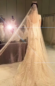 S62A 2022 nouvelle église Style perle douce <span class=keywords><strong>mariée</strong></span> perle <span class=keywords><strong>strass</strong></span> fil <span class=keywords><strong>mariée</strong></span> mariage longue traîne <span class=keywords><strong>voile</strong></span> mariage voiles longs - Product Image 4