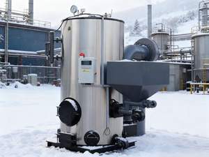 מחולל קיטור ביולוגי מסדרת LZF, דוד ביומסה, קיבולת 0.2/0.3/0.5/0.7 טון/שעה - Product Image 5