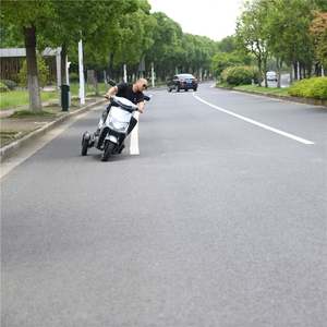 2022 Custom Dual 60V 1000W Motor Triciclo Adultos 12 Pulgadas Eléctrica 3 Ruedas Motocicleta con 2 Asientos Abiertos para 80kg Certificado CE - Product Image 1