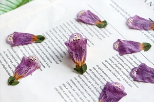 Yuyang vera pianta naturale fiori pressati secchi digitale <span class=keywords><strong>fiore</strong></span> per resina epossidica gioielli, fabbricazione di candele - Product Image 3