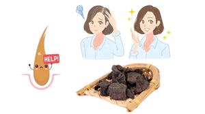 Fo Ti kök ekstresi tozu saf doğal saç sağlığı için Ho Shou Wu özü o Wu Wu özü - Product Image 2