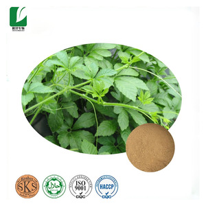 Высококачественный экстракт Jiao Gu Lan Gynostemma Pentaphyllum травяная пудра, дикие культивируемые гипенозиды, упакованные в бутылки - Product Image 2