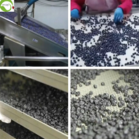 Premium Zoete Gedroogde Bosbessen Gezonde Snacks Voor Een Voedzame Boost