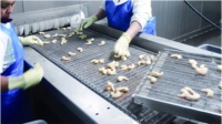 Vicmai Automatische PLC-gestuurde continue IQF tunnelvriesinstallatie (-40 tot 0°C) voor visverwerkingsbedrijven, dumplings en nuggets