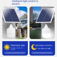 Ampoule LED solaire extérieure IP67 avec fonction de charge d'urgence pour marché nocturne, camping, éclairage routier, conforme aux normes transfrontalières, jardin