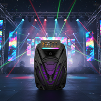Haut-parleur DJ 15 pouces avec lumière LED RGB, batterie 5.0 30W 3600mAh, micro sans fil, contrôle par application, pour karaoké, home cinéma, fêtes en extérieur