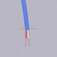 First-Level Precision K-Type J-Type PTFE Compensation Wire Fast Delivery Silicone Thermocouple Extension Electrical Instruments