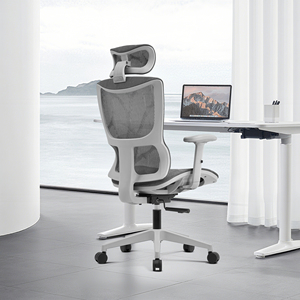 Trung Quốc Ergonomic nhiệm vụ nặng nề Ghế văn phòng đầy đủ lưới Quản lý máy tính ghế màu xám cho văn phòng với thắt lưng hỗ trợ silla oficina - Product Image 2