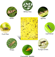Pièges collants jaunes non toxiques, plaques de colle double face découpables pour toutes les nuisibles volantes, intérieur, extérieur, jardin, serre, légumes
