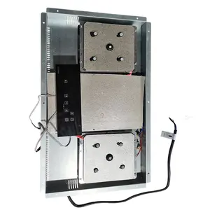 Fabricante de inducción personalizado 2 quemador 220V Invisible inducción Hob estufa cocina con medio puente
