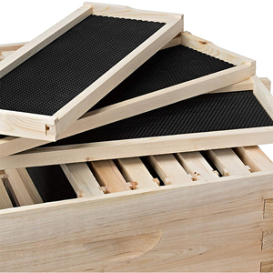 Matériel d'apiculture, ruche en bois à 8 et 10 cadres, ruche Langstroth complète pour apiculteur - Product Image 5