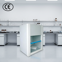 Équipement de purification d'air aseptique, poste de travail de purification d'air efficace pour laboratoire, pour une seule personne