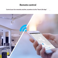 Sakelar Kipas WiFi Pintar dengan Pengatur Waktu Aplikasi & Kontrol Suara, Berperingkat IP20, Sakelar Dinding Kipas Langit-Langit Sentuh