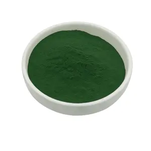 厂家供应叶绿酸钠铜粉，价格最优惠100g/袋
