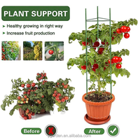 Piquets réglables en plastique pivoine Pack métal plante Support anneau jardin treillis pieu tomate spirale Cages vert maison kits
