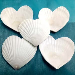Coquilles Saint-Jacques Naturelles Blanches en Forme de Cœur, Coquilles Marines Brutes pour Artisanat DIY, Décoration de Mariage à la <span class=keywords><strong>Plage</strong></span> et Fêtes - Product Image 2