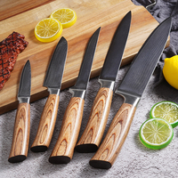 Ensemble de couteaux de cuisine en acier Damas 5 pièces avec lames à 67 couches, design ambidextre, manches durables en bois Pakka