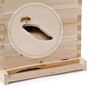 10 <b>Frames</b> Fir Wood Double Layer Complete Langstroth <b>Deep</b> Beehive Box - Product Image 6