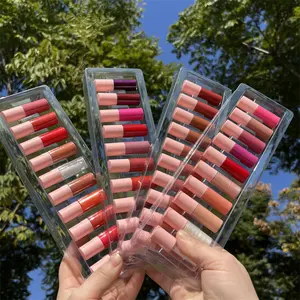 New Arrive Cruelty Free Lipgloss Set Long Lasting High Pigment Travel Size Mini Liquid Matte Lipstick Set