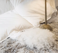 Großhandel Gänsedaunen-Bettdecke Queen-Size Ganzjahres-Leichtgewicht-Steppdecke für Hotel- und Heimgebrauch