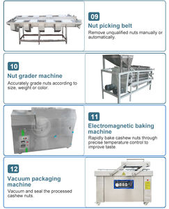 خط إنتاج آلي لمعالجة الكاجو من الشركات المصنعة، آلة معالجة الكاجو الجديدة الأعلى مبيعًا بسعر منخفض - Product Image 5