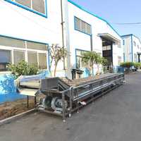 Professionele wasmachine droogijsreiniger met Osprey pompadaptergenerator voor groenten en fruit