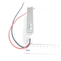 Amplificateurs de puissance RF personnalisables 50W 2000-2100MHz Module Lora GaN Module anti-drone VCO intégré