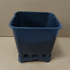 Vente en gros de pots de plantation de <span class=keywords><strong>myrtilles</strong></span> Conteneur de culture de jardinières en plastique pour projet de myrtille - Product Image 4