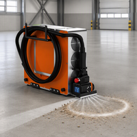 Machine de nettoyage au laser pulsé ultra-compacte de 500 W pour le bois, la pierre, l'élimination de la rouille, le décapage de la peinture, refroidissement par air, portable, 19 kg