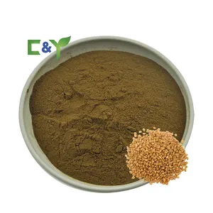 High quality wholesale selling fenugreek herbal supplements fenugreek capsule 600mg fenugreek extract powder