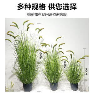 Espigas de Grano Artificiales Decorativas, Planta Artificial de PVC de Alta Simulación de 100cm-200cm para Interiores, Cesta de Flores, Decoración del Hogar - Product Image 3