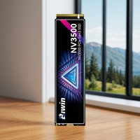 قرص NV3500 1 تيرابايت M.2 2280 PCIe 3.0 NVMe 1.4 SSD بسرعة تصل إلى 3500 ميجابايت/ثانية، تقنية 3D TLC NAND، تبديد حرارة بالجرافين لأجهزة الكمبيوتر المكتبية والمحمولة