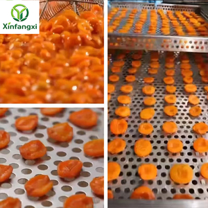 Abricots séchés en vrac, doux et entiers, pour recettes végétaliennes, smoothies, poudings et desserts, collations, sachets de congélation en vrac, cadeau, séchage - Product Image 6
