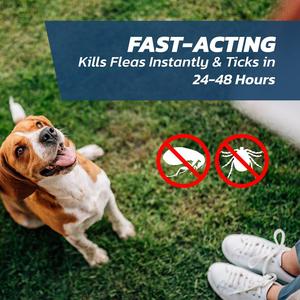 Traitement <span class=keywords><strong>spot</strong></span>-<span class=keywords><strong>on</strong></span> pour chats - Protection durable - Product Image 5