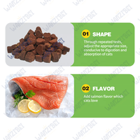 Supplément OEM/ODM pour chat, lysine à mâcher pour chat, soutien du système immunitaire et lysine à double résistance, offre d'échantillons gratuits